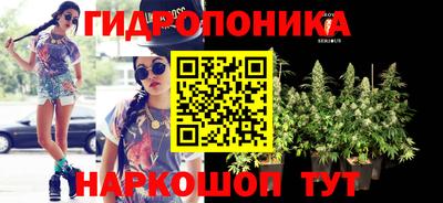 дмт Балаково