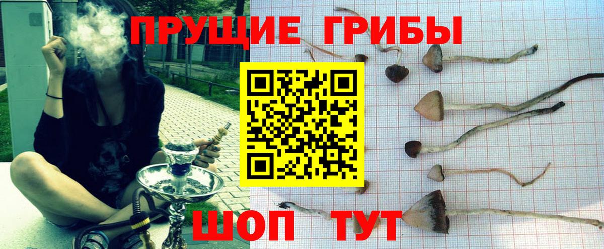 Галлюциногенные грибы прущие грибы Дзержинск