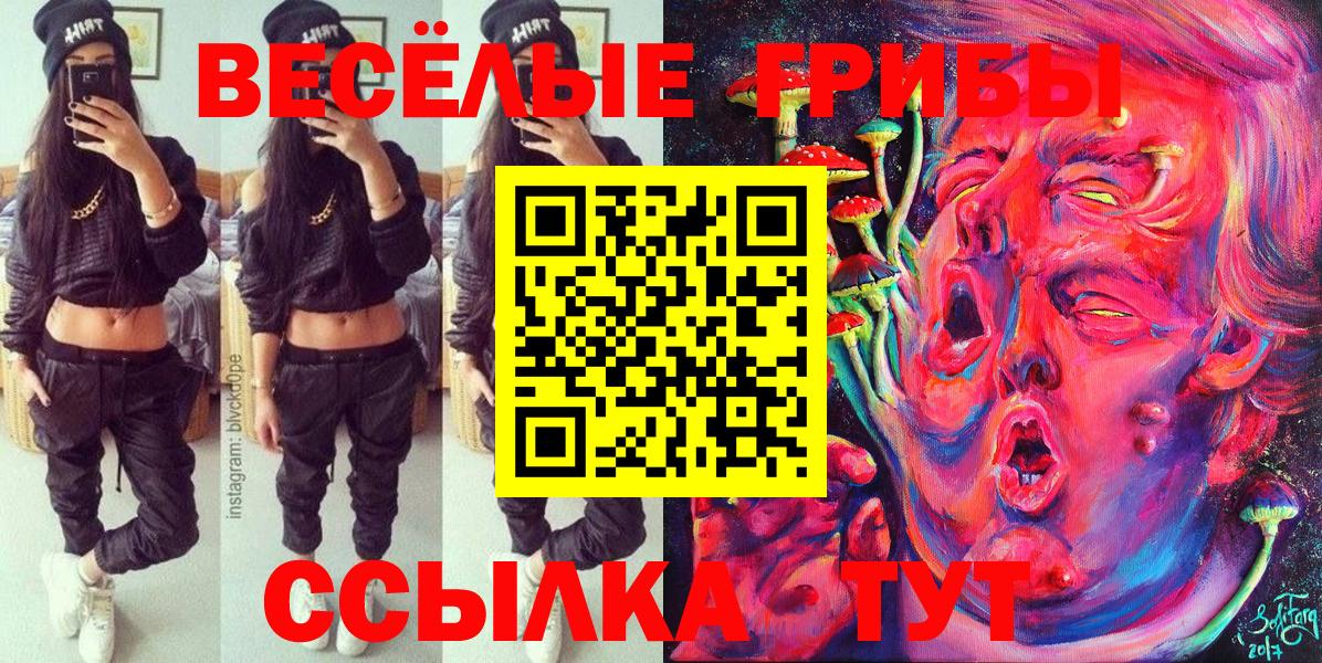 Галлюциногенные грибы Cubensis  Вход с VPN  Дзержинск 